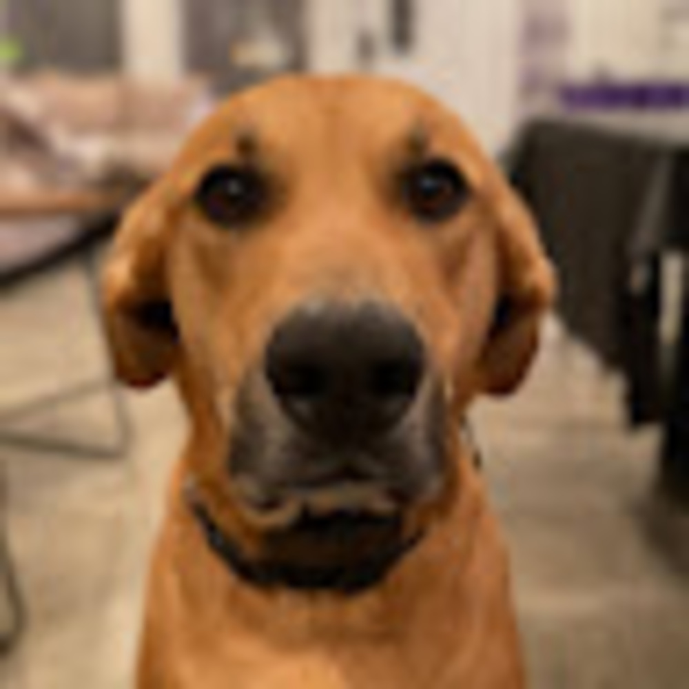 Meet your Posher, Addie
